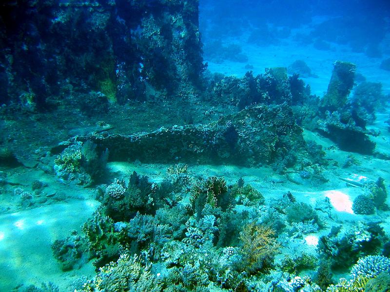 07 EG-02 213.JPG